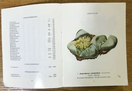PROTECTED WILD FLOWERS of the CAPE PROVINCE BESKERMDE VELDBLOMME van KAAPLAND 1958 MAPS COLOUR ART.