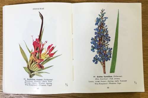 PROTECTED WILD FLOWERS of the CAPE PROVINCE BESKERMDE VELDBLOMME van KAAPLAND 1958 MAPS COLOUR ART.