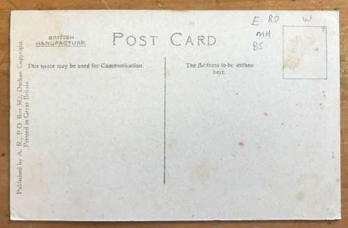 POSTCARD PALM WALK BOTANICAL GARDENS DURBAN NATAL UNION of SOUTH AFRICA PRINTED IN GREAT BRITAIN.