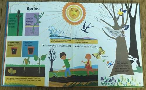 NATURE`S BUSY YEAR Lise Martin and Noelle Brun 1973 The Hamlyn Publishing Group Limited BOOK.