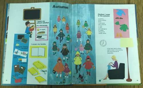 NATURE`S BUSY YEAR Lise Martin and Noelle Brun 1973 The Hamlyn Publishing Group Limited BOOK.