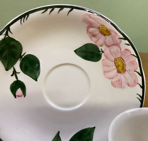 VILLEROY and BOCH=GERMANY=TEA CUP + SAUCER=WILD ROSE pattern=BEAUTIFUL!!!!=please read notes........