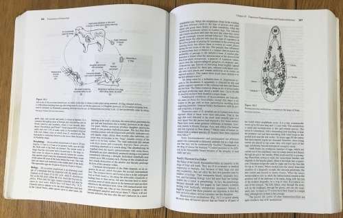 FOUNDATIONS OF PARASITOLOGY 6th EDITION GERALD SCHMIDT LARRY ROBERTS JOHN JANOVY McGRAW-HILL 2000.