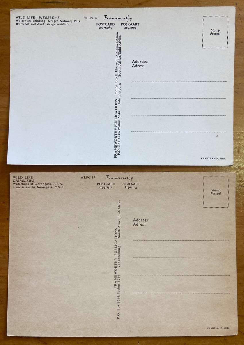 POSTCARDS POST CARDS x 2 WATERBUCK HERD & SINGLE MALE GORONGOSA & KRUGER NATIONAL PARK  ANTELOPE.