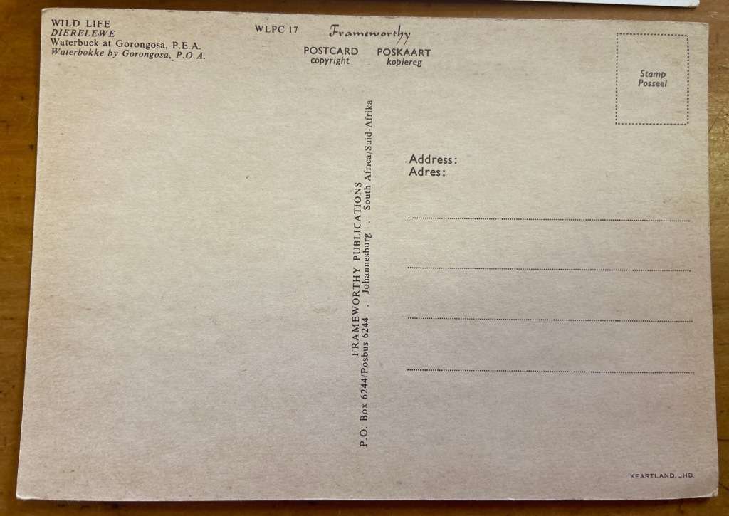 POSTCARDS POST CARDS x 2 WATERBUCK HERD & SINGLE MALE GORONGOSA & KRUGER NATIONAL PARK  ANTELOPE.