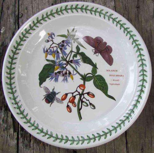 PORT MEIRION POTTERY DINNER/ENTREE PLATE=218mm diam=WOODY NIGHTSHADE=SUSAN WILLIAM ELLIS DESIGN=nice