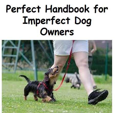 *J* Perfect Handbook for Imperfect Dog Owners - Ebook