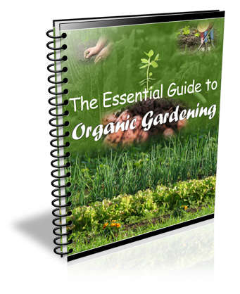 *J* Essential Guide to Organic Gardening - Ebook
