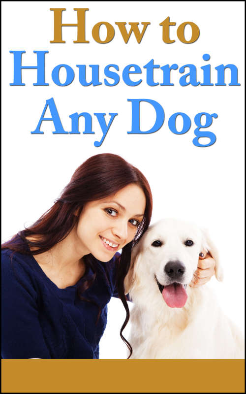 *J* How To Housetrain Any Dog - Ebook
