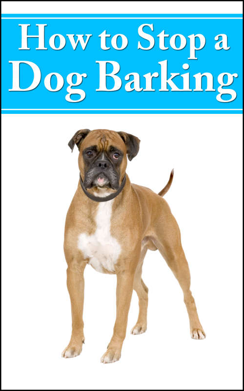 *J* How To Stop A Dog Barking - Ebook