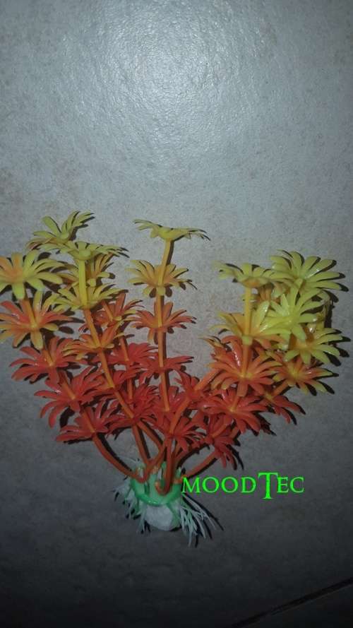 Artificial Plastic Fish Tank Plant - Aquarium Decor (In Stock)