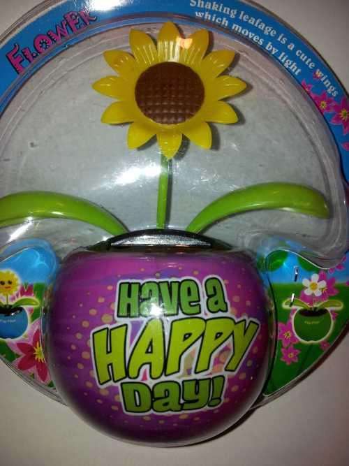 Solar Powered Flower Pot (In Stock)