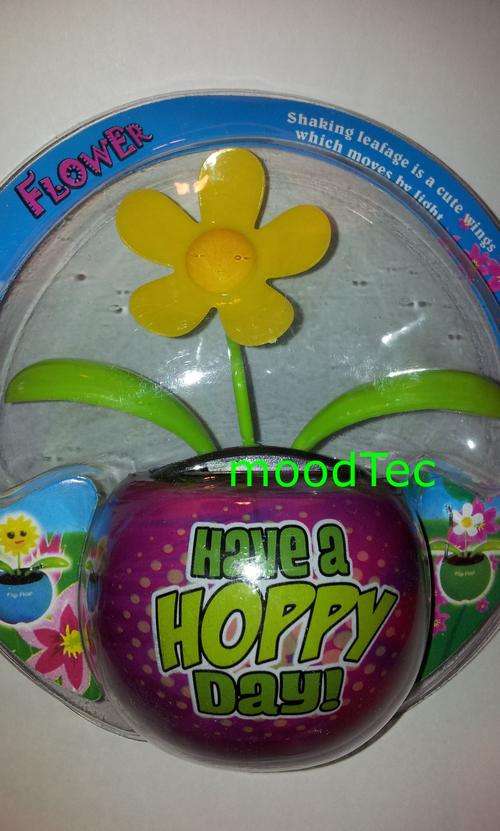 Solar Powered Flower Pot (In Stock)