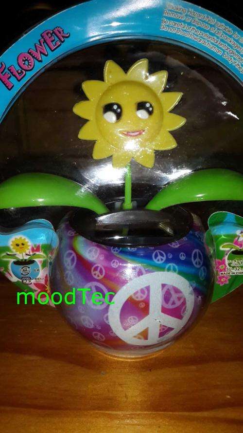 Solar Powered Flower Pot (In Stock)