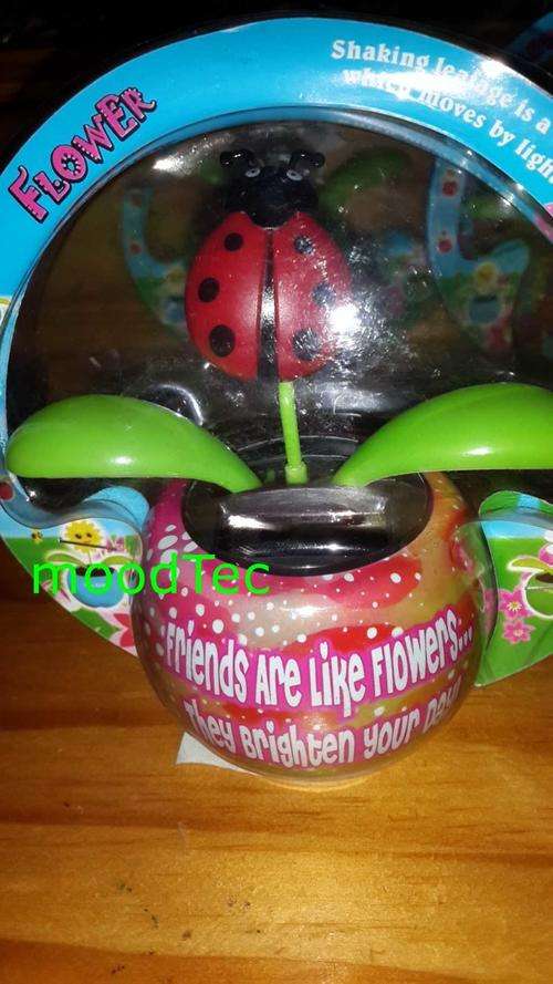 Solar Powered Flower Pot (In Stock)