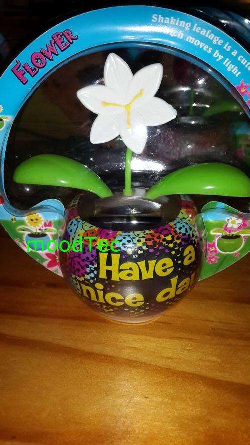 Solar Powered Flower Pot (In Stock)