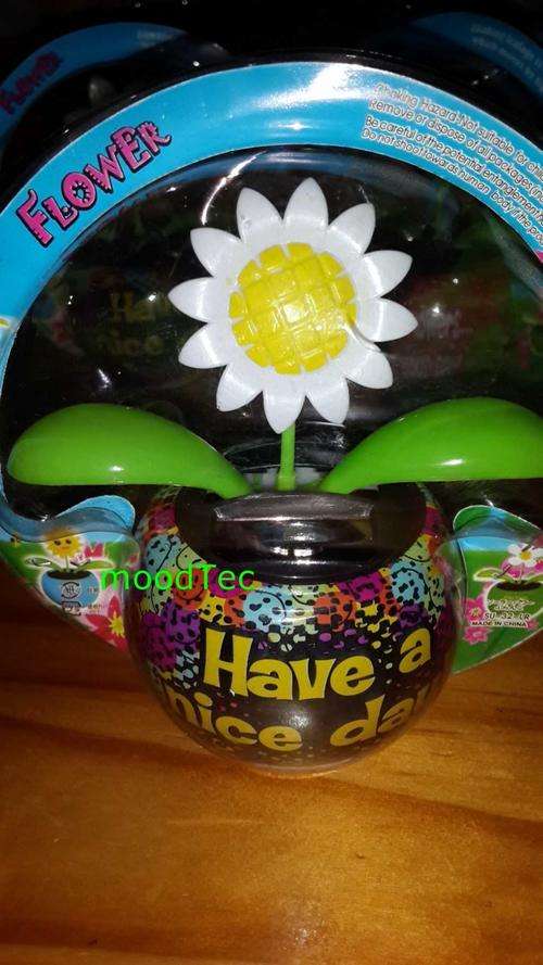 Solar Powered Flower Pot (In Stock)