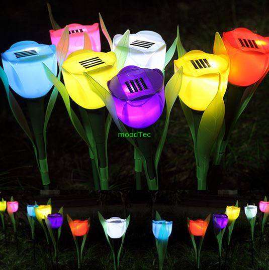 Solar Flower Light - (Pack of 2 - Colour Random)