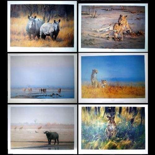 Portfolio of 6 LIMITED EDITION SIGNED PRINTS by KIM DONALDSON (Renowned Zimbabwean Wildlife Artist)