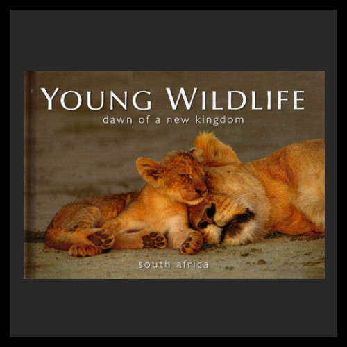 Art Publishers (Publ) - YOUNG WILDLIFE. DAWN OF A NEW KINGDOM. (Various Photographers)