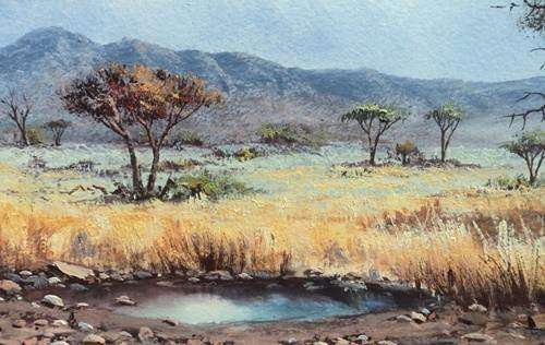 Dirk Venter (S A Artist). BUSHVELD LANDSCAPE WITH WATER PAN. Oil. Framed. 400 x 900 mm. 1976.