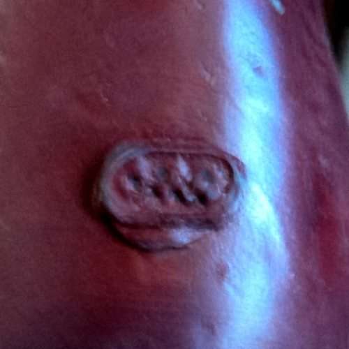 Olga van Wyk. Well - known S A Artist. CAGE DOLL MANNEQUIN. 65 cm tall. Handcrafted.