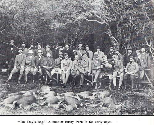 R. L. Leigh - PORT ELIZABETH. FROM A BORDER GARRISON TOWN TO A MODERN COMMERCIAL CITY.