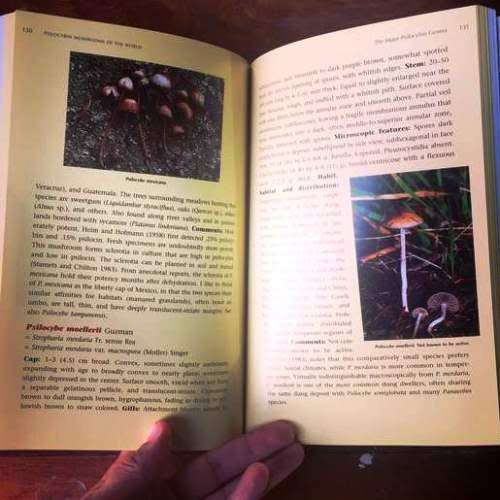 Paul Stamets - PSILOCYBIN MUSHROOMS OF THE WORLD. Identification Guide. Paperback 7th ed (1996). New