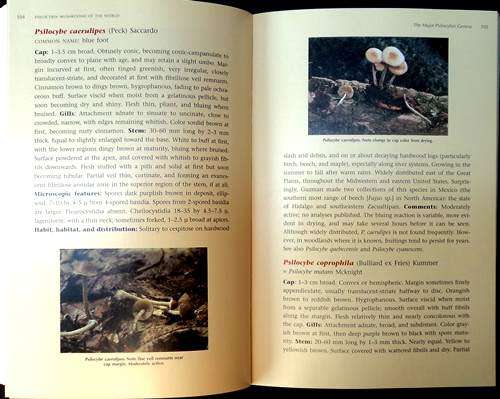 Paul Stamets - PSILOCYBIN MUSHROOMS OF THE WORLD. Identification Guide. Paperback 7th ed (1996). New