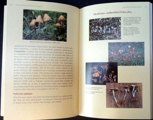 Paul Stamets - PSILOCYBIN MUSHROOMS OF THE WORLD. Identification Guide. Paperback 7th ed (1996). New