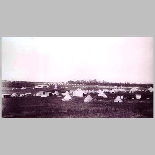 Celeste Reynolds - KONSENTRASIEKAMPSTERFTES GEDURENDE DIE ANGLO - BOEREOORLOG 1899 - 1902 (plus DVD)