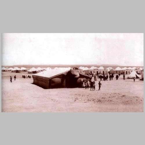 Celeste Reynolds - KONSENTRASIEKAMPSTERFTES GEDURENDE DIE ANGLO - BOEREOORLOG 1899 - 1902 (plus DVD)