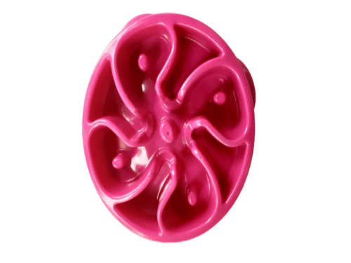 healthy Slow Pet Feeder