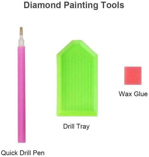 Diamond Art Painting with Numbers Pillow Case Cover