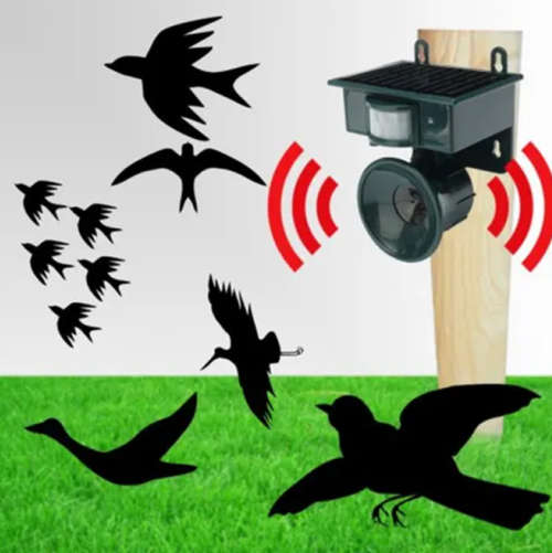 Ultrasonic Solar Powered Bird Repeller Pest Control