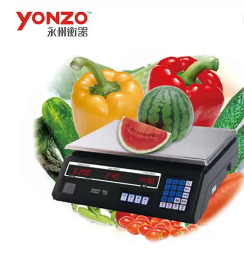 Digital Price Computing Scale - 40Kg