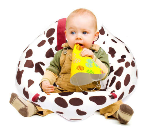 Baby Plush Sofa Support Seat