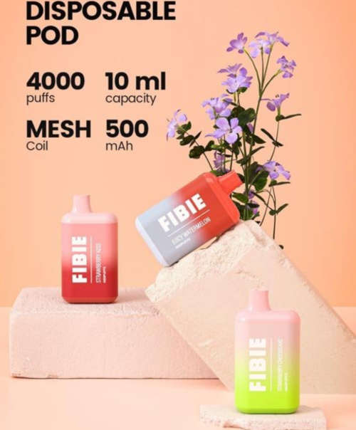Fibie Box 4000 Blueberry Milkcream - Disposable Vape