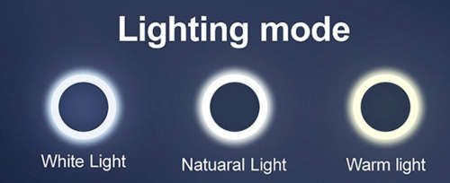 12 Inch LED Ring Fill Light With Universal Mobile Holder - 30cm