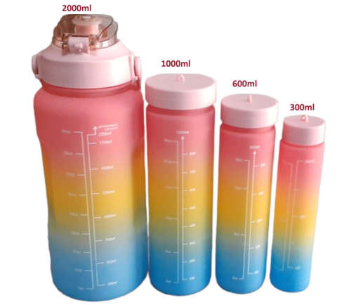 Leak Proof Motivational Water Bottle with Straw And Time Markers - 4-Piece - pink