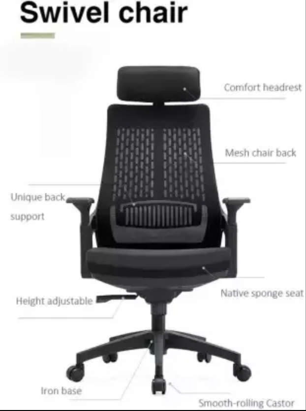 F21 - Mesh ergonomic Executive office chair Demo/Display Unit - Black