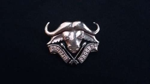 32 BATTALION BERET BADGE 1977-1990'S - CHROME - 2 LUGS