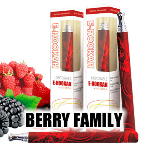 HANGSEN E-HOOKAH E-CIGARETTE - BERRY FAMILY - 800 PUFF **FREE SHIPPING ON ORDERS OVER R500**