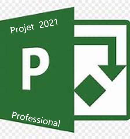 Project 2021 Professional (Download link and 25 digit License)