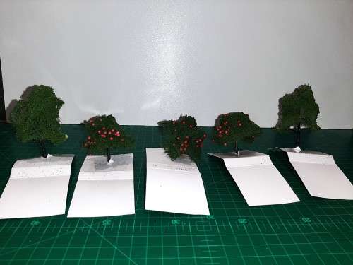 Set of 5 Assorted Trees