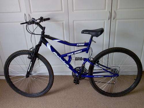 Raleigh Trailsport E500