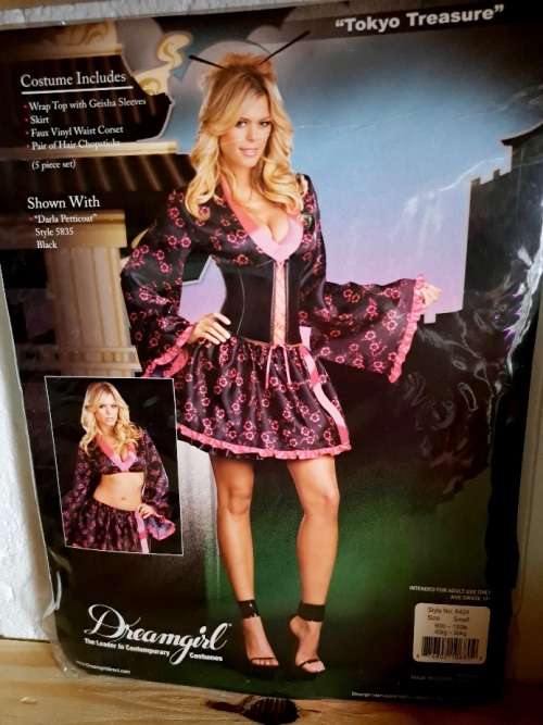 Tokyo Treasure Geisha Girl Costume