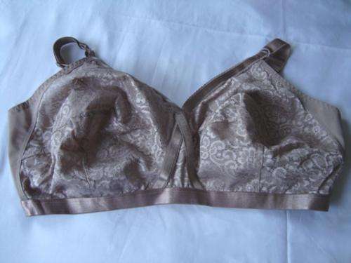 Brown Bra: 48E