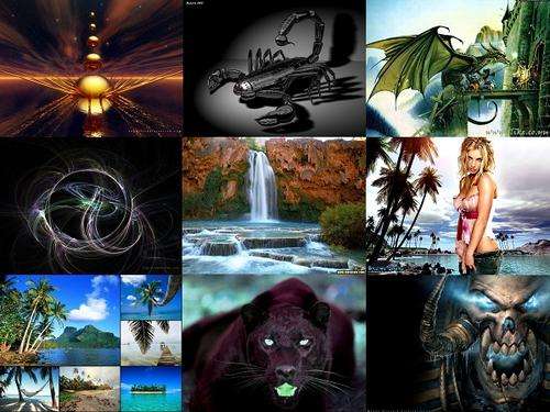 1st on  BOB Over 10,500 Pictures/Wallpapers + Over 650 Funny videos Must see on a 4.7GB DVD