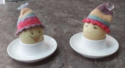 Egg Cozies(+free shipping)